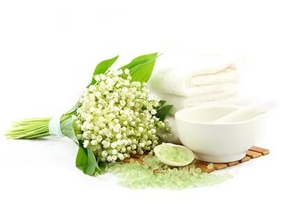 Cosmetics Infobox 2 - Botoderm