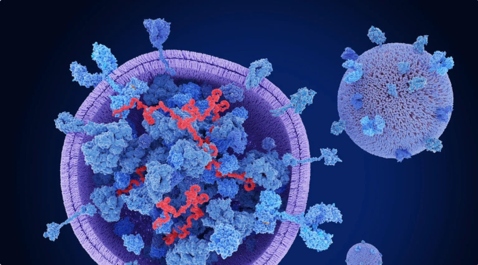 What Are Exosomes In Aesthetic Medicine And How Do They Work? 2 Exosomes Illustration